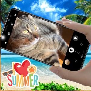 Meet your Posher, Marjorie